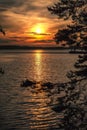 Sunset over the lake. Royalty Free Stock Photo