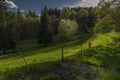 Evening with sunset near Lesik village with fresh green pasture land after rain