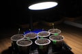 Supplementary lighting of tomato seedlings in early spring by LED lamp at home. Front view.