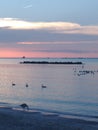 An evening swim with a beautiful sunset, lake Erie Royalty Free Stock Photo