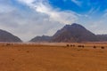 Evening time near mountains at Sinai Desert, Sharm el Sheikh, Sinai Peninsula, Egypt. ATV quad safari on the sand Royalty Free Stock Photo