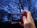 Evening Tree Silhouette in camera viewfinder Royalty Free Stock Photo