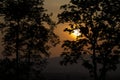 In the evening, the tree silhouette, very beautiful Royalty Free Stock Photo