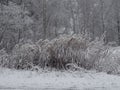 First snow, Nice view on the narrow walking way in autumn Royalty Free Stock Photo