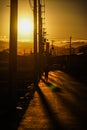 Evening and a utility pole