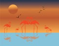 Evening Veiw of Sunset and Loving Flamingoes