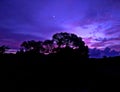 Evening vibes in the western ghat