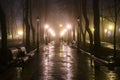 Evening view of the alley in the old park in foggy weather. Royalty Free Stock Photo