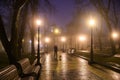 Evening view of the alley in the old park in foggy weather. Royalty Free Stock Photo