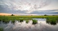 Evening view of the dutch polder landscape Royalty Free Stock Photo