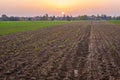 Fields in Masovia region Royalty Free Stock Photo