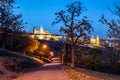 Evening view of illuminated Prague Castle, Prazsky Hrad, from Petrin Gardens, Prague. Czech Republic