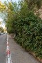 Evening view of the quiet, green Hovevei Tsiyon Street in the old Jerusalem district Talbia - Komiyum in Jerusalem, Israel