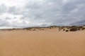 Evening view on small sand dune with green grass. Sandy beach at sea coast. Blue sky with white clouds. Sunset time