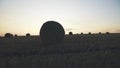 Evening viewing of haycocks on spacious field with bright sunset