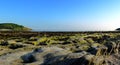 Bright evening sunshine, still, calm waters, rock pools and reef, in Looe Bay, Cornwall UK Royalty Free Stock Photo