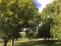 Evening walk at the park enjoying the warm summer temperature Royalty Free Stock Photo