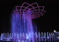 Evening water show arond the Tree of Life Royalty Free Stock Photo