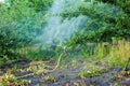 Evening watering of the orchard Ukraine