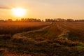 Evening wheat field during the harvest Royalty Free Stock Photo