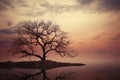 Evening whispers, bare tree silhouette paints a serene nature canvas