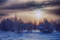 Evening winter landscape in the forest with trampled footprints in the snow, sunset