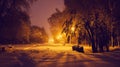 Evening winter landscape in the park. snow covered frosty trees in a night city park Royalty Free Stock Photo