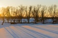 Evening winter landscape with thawed areas and trees