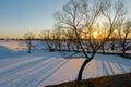 Evening winter landscape with thawed areas and trees