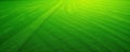 Evenly cut emerald golf course grass  geometric pattern  vibrant  image Royalty Free Stock Photo