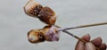 Evenly toasted marshmallows on skewer with burned texture on the surface