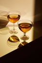 Event elegance wine single martini background liquor wineglass liquid rich luxury party winery