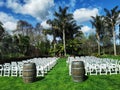 Event and wedding location with wine barrels, rows of white chairs and trees