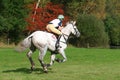 Eventing Royalty Free Stock Photo