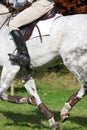 Eventing Royalty Free Stock Photo