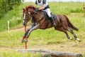 Eventing: equestrian rider jumping over an a log fence obstacle