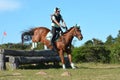 Eventing horse jumping over logs Royalty Free Stock Photo