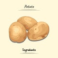 Illustration sketch and vector style of potato. Good to use for restaurant menu, Food recipe book, and food ingredients content.