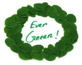 Ever Green written in Moringa leaves frame Royalty Free Stock Photo