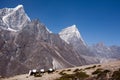 Everest base camp trekking path in Dingboche area, Nepal Royalty Free Stock Photo