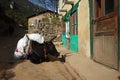 Everest trek. Loaded black cow yak is resting next to house in Namche Bazaar village in Himalayas Royalty Free Stock Photo