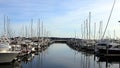 A nice and sunny day at the Everett marina