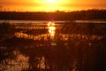 Everglades Argentina