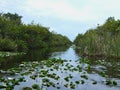 the everglades in florida Royalty Free Stock Photo