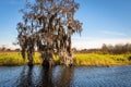 Everglades Landscapes