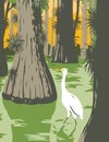 Everglades National Park with Egret in Mangrove and Cypress Trees WPA Poster Art