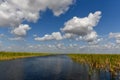 Everglades National Park - Florida Royalty Free Stock Photo
