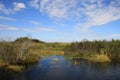 Everglades National Park waterscape.