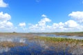 Everglades panorama with water refelction and blue sky