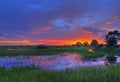 Everglades sunset